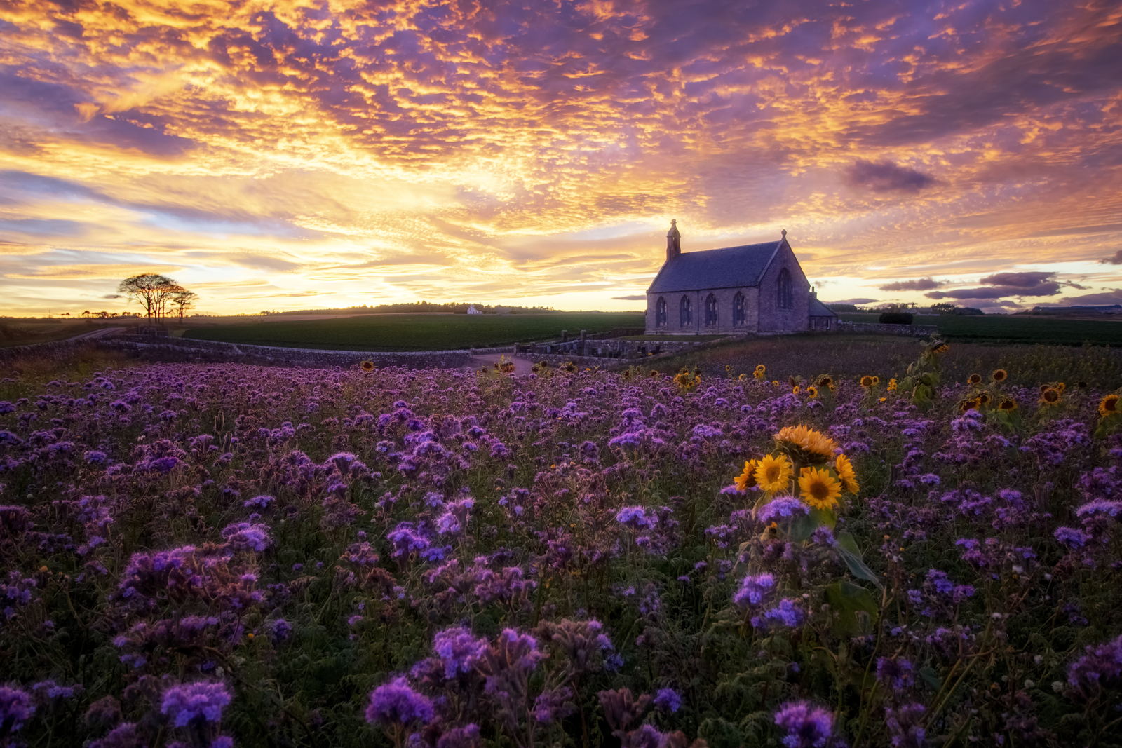 Boarhills church, St Andrews photography print