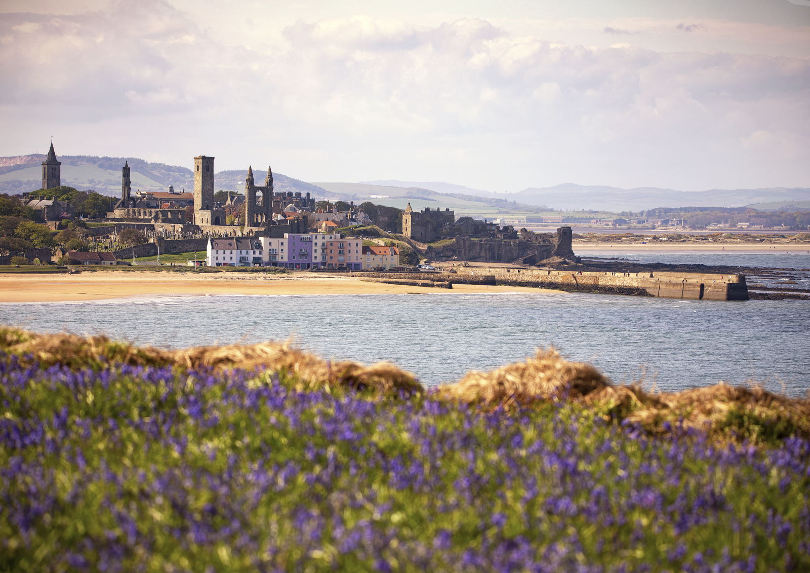 The Pilgrim's path, St Andrews photography print