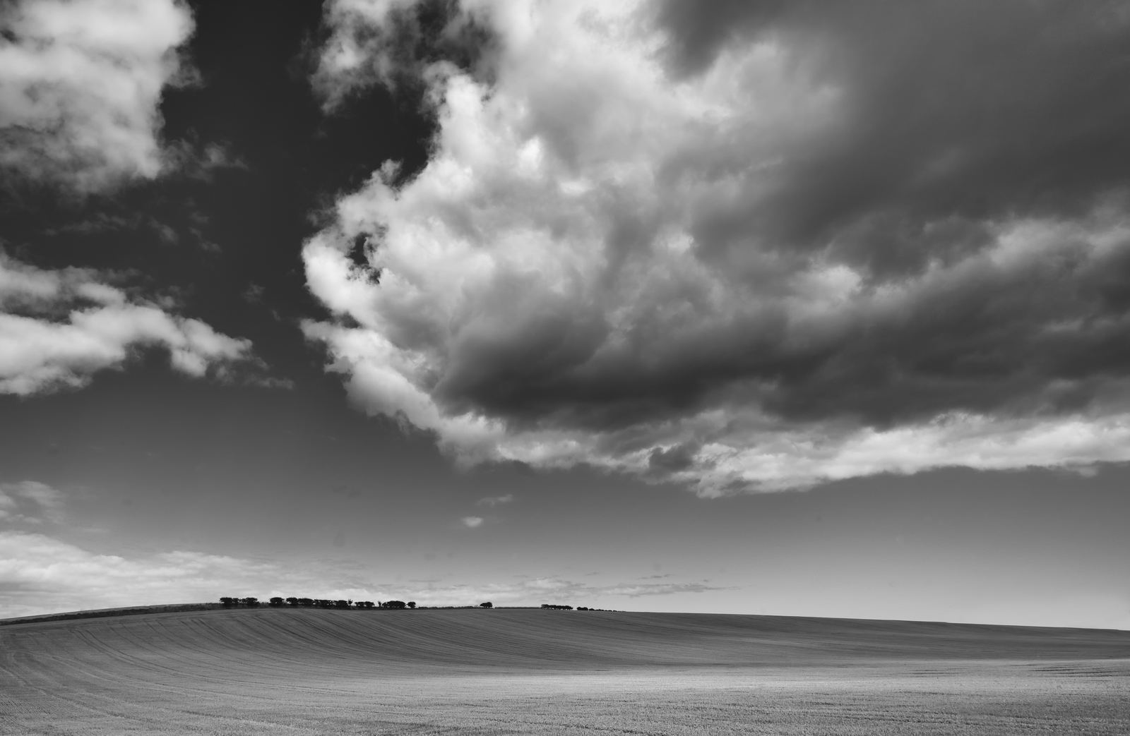 Stom's a'coming, St Andrews photography print